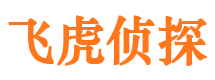 汉阳市私家侦探公司